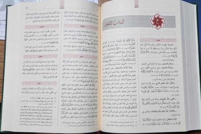 MUFRADAT ALFAT AL-QUR'AN  مفردات الفاظ القرءان. العلامة الراغب الاصفهاني . دار القلم - Image 3