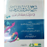 شرح شدور الدهب/ ابن هشام الانصاري. دار ابن كثير  SHARH SHUDUR DAHAB