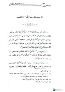 مختصر السيرة النبويه/عبد المومن ابن خلف الدمياطي   MUKHTASAR SEERAH NABAWIYA - Image 3