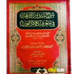 شرح شدور الدهب/ ابن هشام الانصاري   SHARH SHUDUR AL- DAHAB