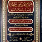 شرح شدور الذهب / ابن هشام /دار الفيحاء  SHARH SHUDUR DAHAB