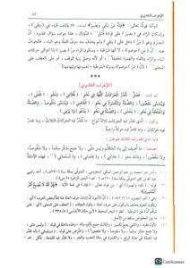 شرح شدور الذهب / ابن هشام /دار الفيحاء  SHARH SHUDUR DAHAB - Image 3