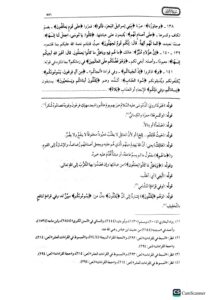 تفسير الجلالين/ جلال الدين السيوطي  وجلال الدين المحلي - Image 3