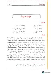 النحو الواضح الابتدائي/ علي الجارم NAHW WADIH - Image 2