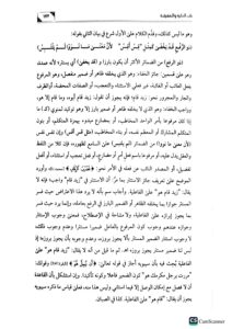 عون العلي المالك شرح كافية ابن مالك/ محمد ابن الشيخ حمد الانصاري OWN ALIYE MALIK SHARH KAFIYAH IBN MALIK - Image 2