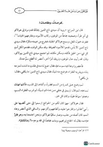 الماهون من نبأ من خدم المغول/ محمد عبد الله احمد  AL-MAHUL - Image 2