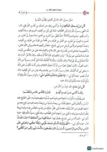 سيرة رسول الله / ابي محمد عبد الملك البصري . مركز سطورSEERAH RASUL - Image 2